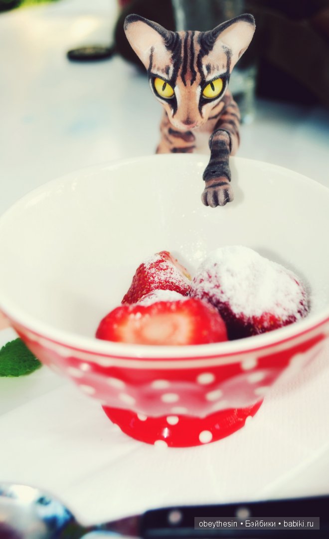 Новые друзья — Разные куклы BJD (БЖД): редкие бренды (фото 7)