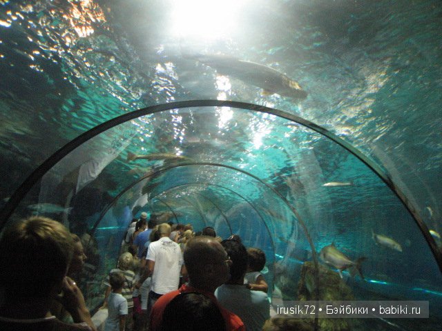 Барселона — Интересное и необычное: фотоподборки (фото 8)