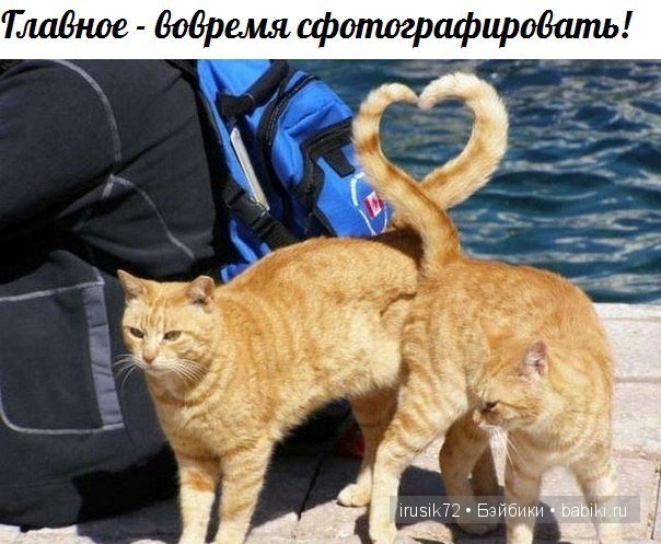 "Поделись улыбкою своей" — Болталка и разговоры обо всем: жизнь (фото 6)