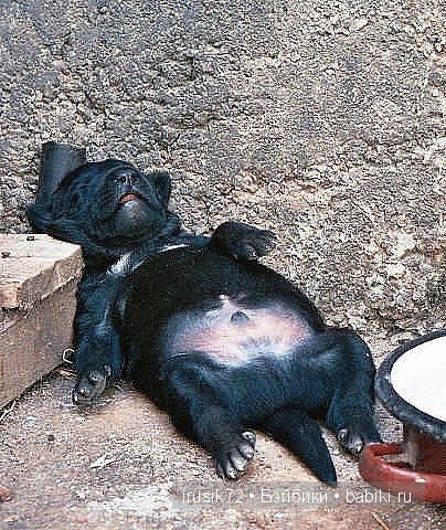 "Поделись улыбкою своей" — Болталка и разговоры обо всем: жизнь