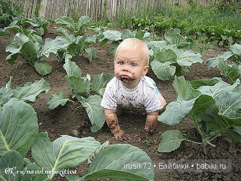 "Поделись улыбкою своей" — Болталка и разговоры обо всем: жизнь