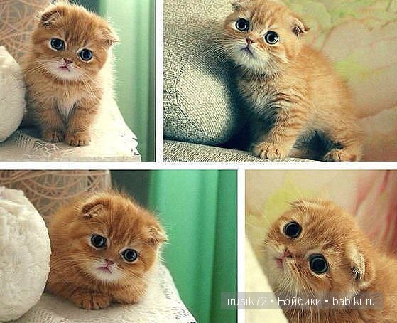 "Поделись улыбкою своей" — Болталка и разговоры обо всем: жизнь