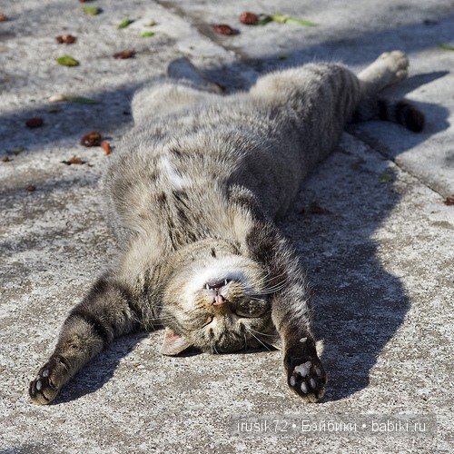 "Поделись улыбкою своей" — Болталка и разговоры обо всем: жизнь