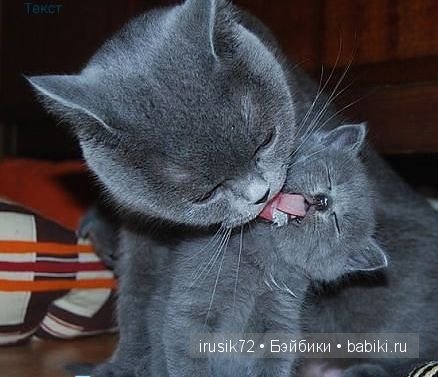 "Поделись улыбкою своей" — Болталка и разговоры обо всем: жизнь