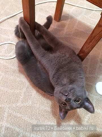 "Поделись улыбкою своей" — Болталка и разговоры обо всем: жизнь