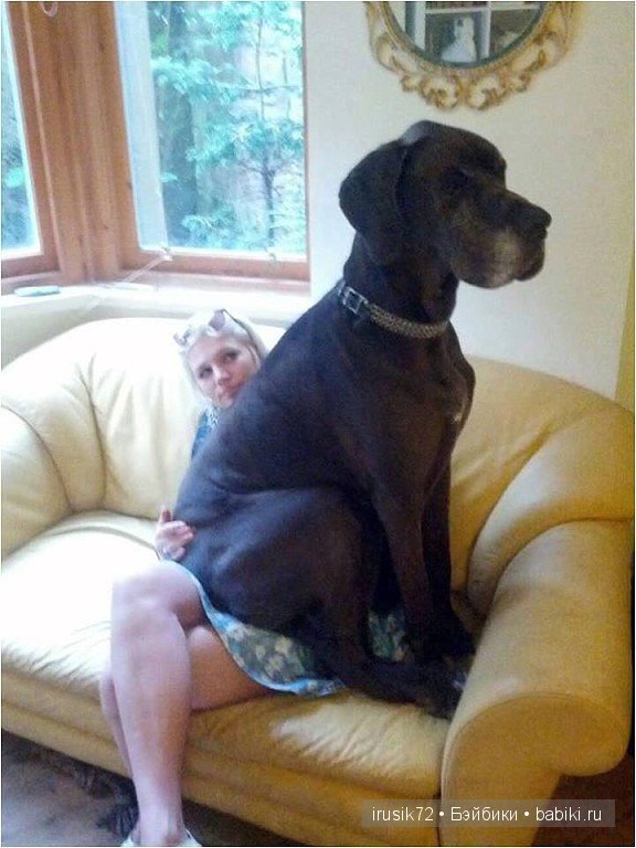 "Поделись улыбкою своей" — Болталка и разговоры обо всем: жизнь (фото 8)