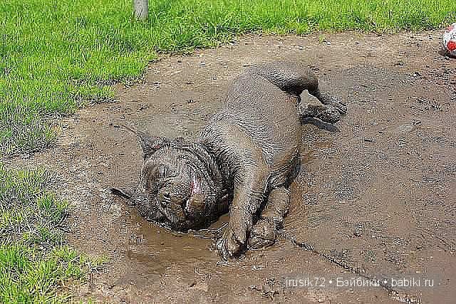 "Поделись улыбкою своей" — Болталка и разговоры обо всем: жизнь