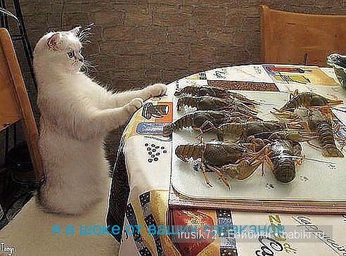 "Поделись улыбкою своей" — Болталка и разговоры обо всем: жизнь (фото 5)