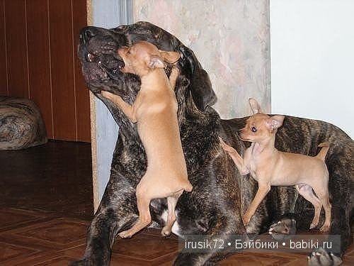 "Поделись улыбкою своей" — Болталка и разговоры обо всем: жизнь