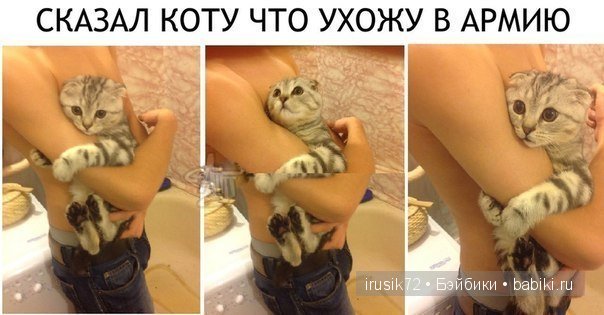 "Поделись улыбкою своей" — Болталка и разговоры обо всем: жизнь (фото 2)