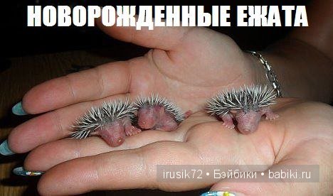 "Поделись улыбкою своей" — Болталка и разговоры обо всем: жизнь