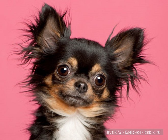 "Поделись улыбкою своей" — Болталка и разговоры обо всем: жизнь