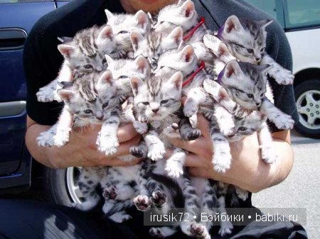 "Поделись улыбкою своей" — Болталка и разговоры обо всем: жизнь