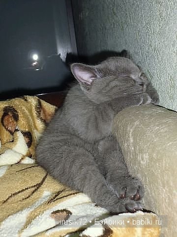 "Поделись улыбкою своей" — Болталка и разговоры обо всем: жизнь