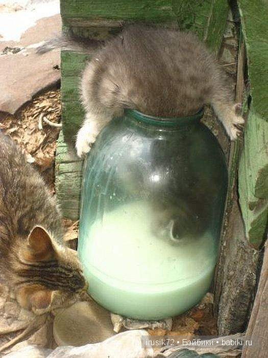 "Поделись улыбкою своей" — Болталка и разговоры обо всем: жизнь (фото 7)