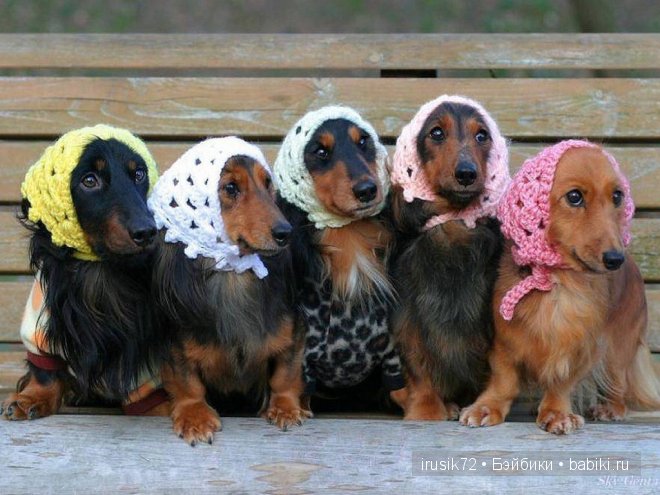 "Поделись улыбкою своей" — Болталка и разговоры обо всем: жизнь