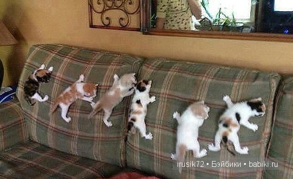 "Поделись улыбкою своей" — Болталка и разговоры обо всем: жизнь