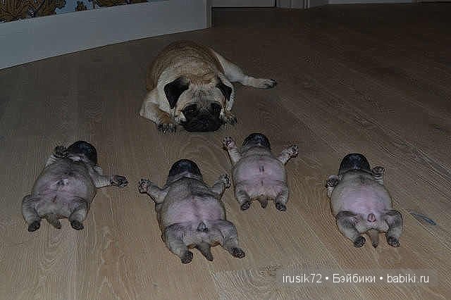 "Поделись улыбкою своей" — Болталка и разговоры обо всем: жизнь