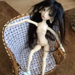 Не придуманная история или как МЫ появилась у меня дома...