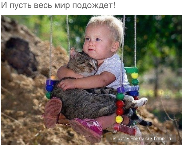 Мы и братья наши меньшие — Болталка и разговоры обо всем: жизнь