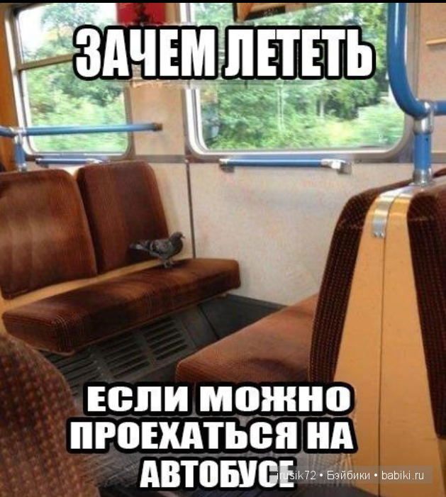 Мы и братья наши меньшие — Болталка и разговоры обо всем: жизнь (фото 5)