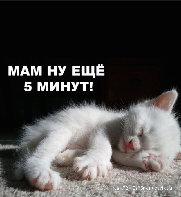 Мы и братья наши меньшие — Болталка и разговоры обо всем: жизнь