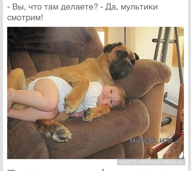 Мы и братья наши меньшие — Болталка и разговоры обо всем: жизнь