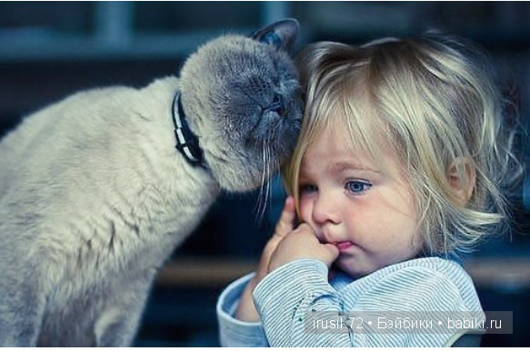 Мы и братья наши меньшие — Болталка и разговоры обо всем: жизнь