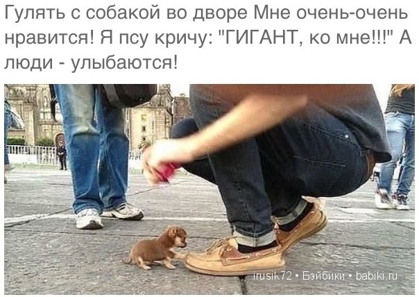 Мы и братья наши меньшие — Болталка и разговоры обо всем: жизнь