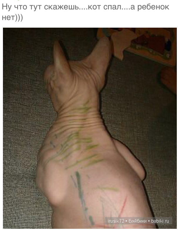 Мы и братья наши меньшие — Болталка и разговоры обо всем: жизнь