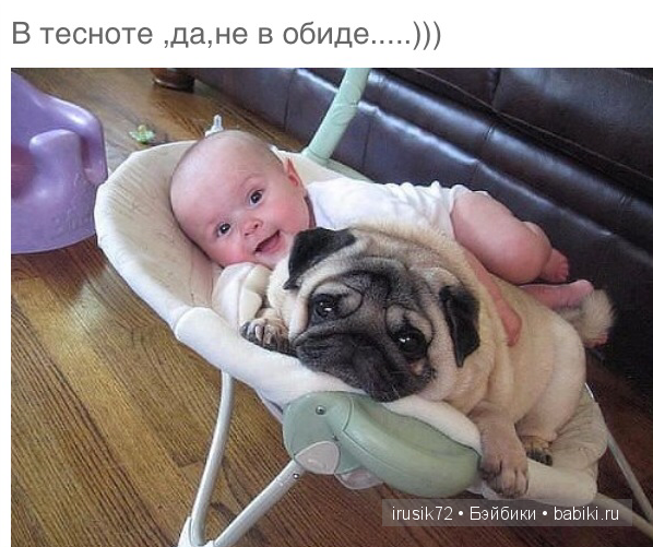 Мы и братья наши меньшие — Болталка и разговоры обо всем: жизнь