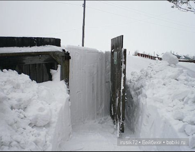 Мы и братья наши меньшие — Болталка и разговоры обо всем: жизнь (фото 9)