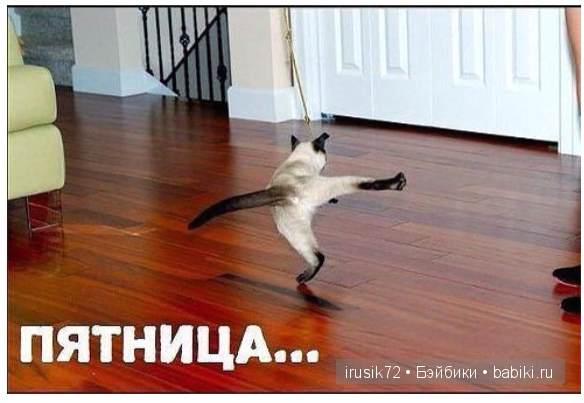 Мы и братья наши меньшие — Болталка и разговоры обо всем: жизнь