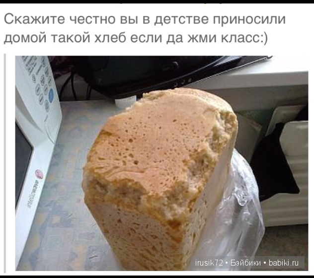 Мы и братья наши меньшие — Болталка и разговоры обо всем: жизнь