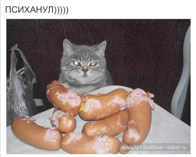 Мы и братья наши меньшие — Болталка и разговоры обо всем: жизнь