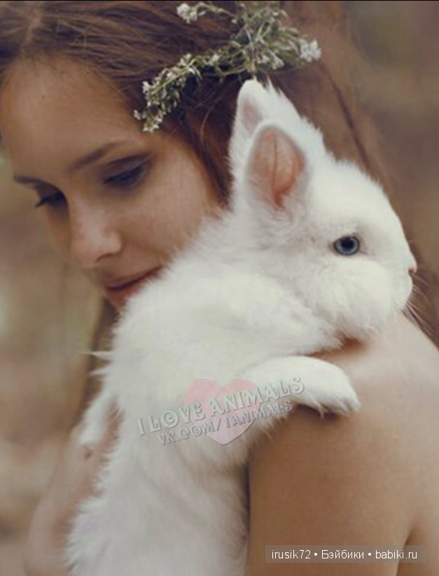 Мы и братья наши меньшие — Болталка и разговоры обо всем: жизнь