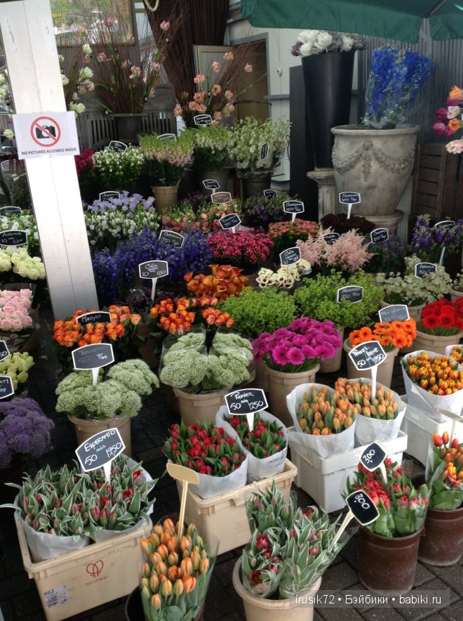 Амстердам - "МОИМИ глазами"