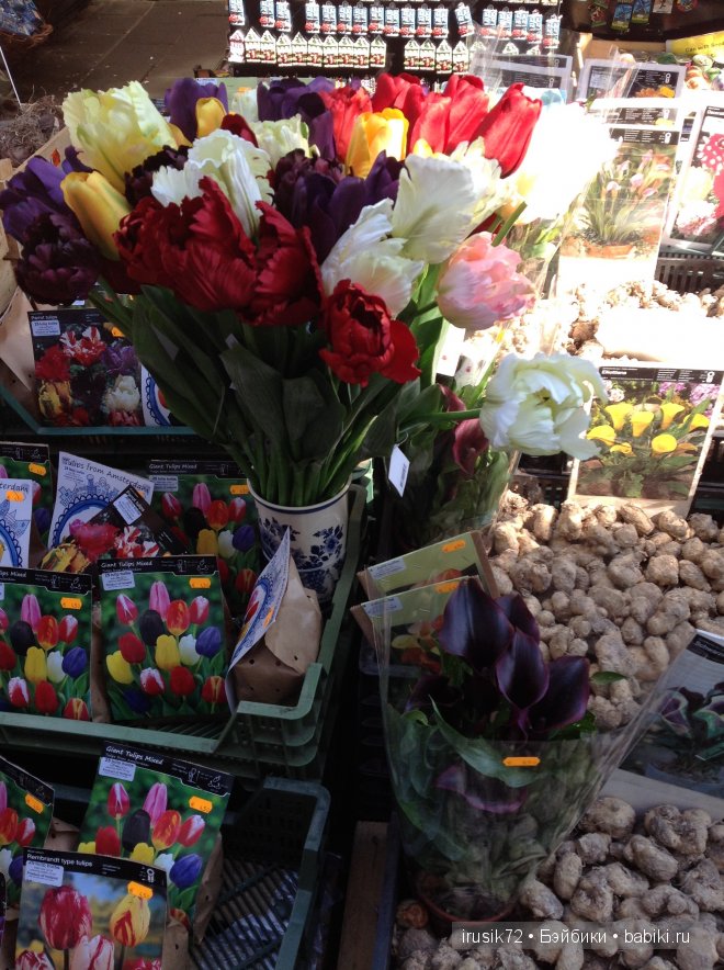 Амстердам - "МОИМИ глазами"