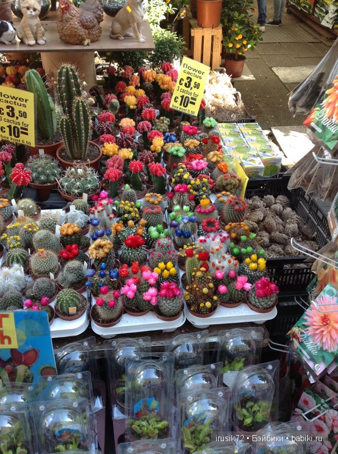 Амстердам - "МОИМИ глазами"