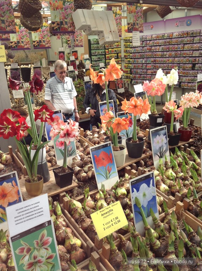 Амстердам - "МОИМИ глазами"