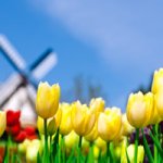 Амстердам - "МОИМИ глазами"! Вторая часть