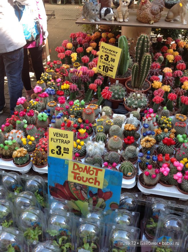 Амстердам - "МОИМИ глазами"! Вторая часть