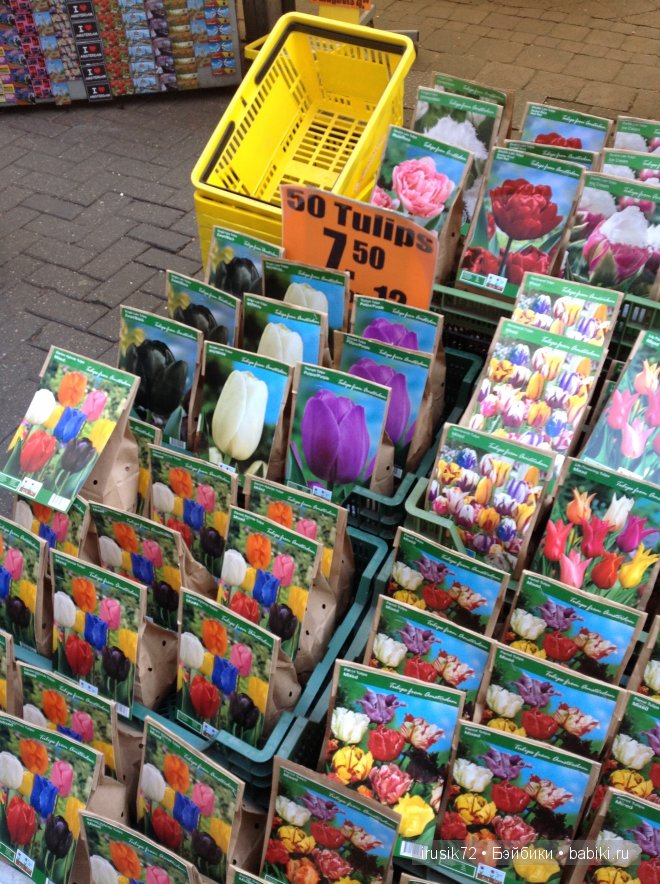 Амстердам - "МОИМИ глазами"! Вторая часть (фото 2)