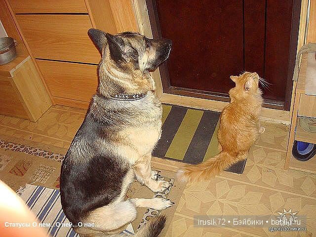 "Поделись улыбкою своей" часть 2