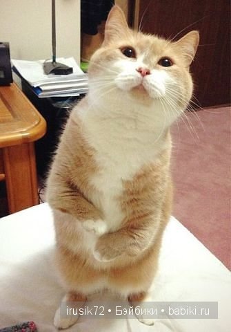 "Поделись улыбкою своей" часть 2