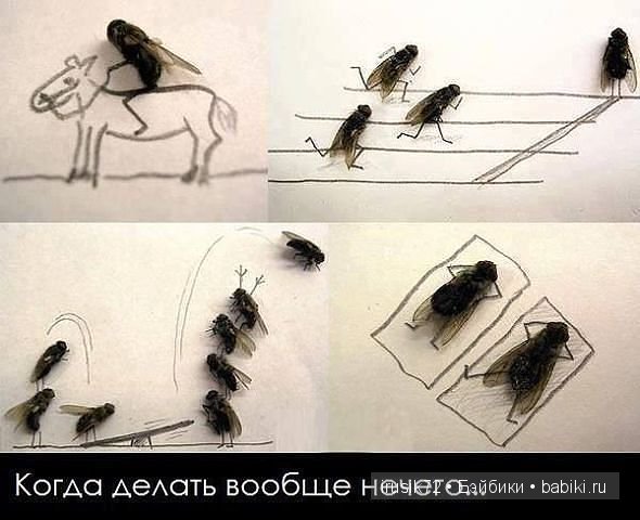 "Поделись улыбкою своей" часть 2