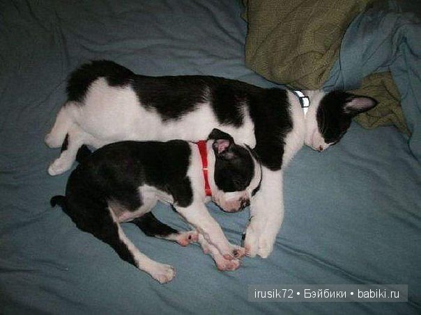 "Поделись улыбкою своей" часть 2