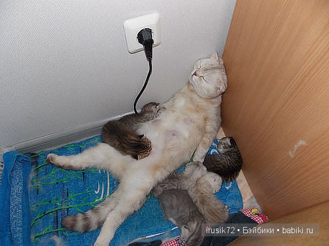 "Поделись улыбкою своей" часть 2