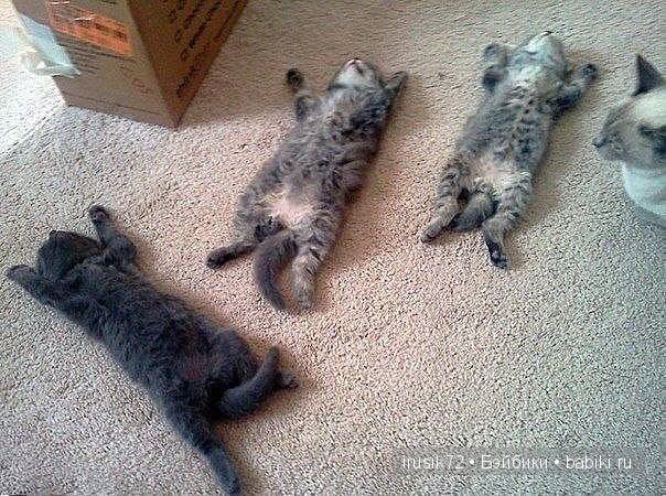 "Поделись улыбкою своей" часть 2