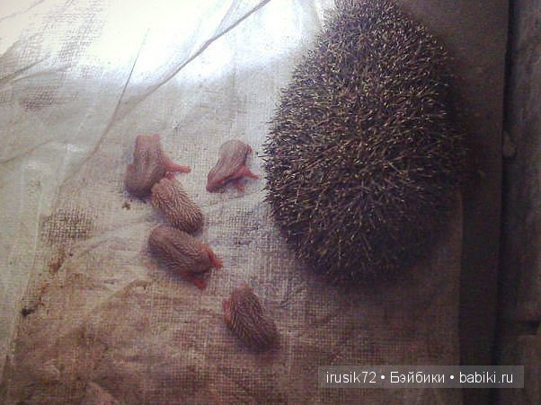 "Поделись улыбкою своей" часть 2